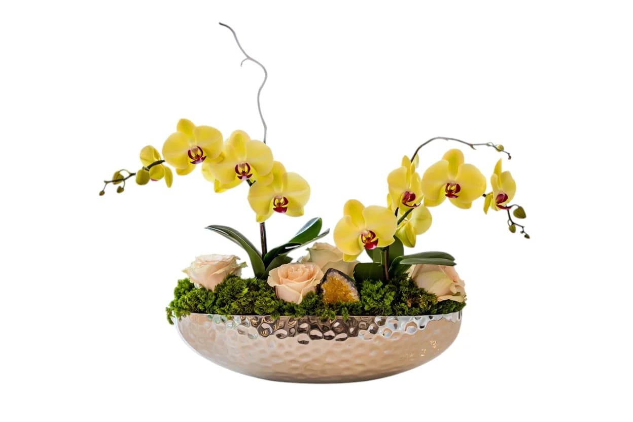 Citrine Soleil Orchid & Roses