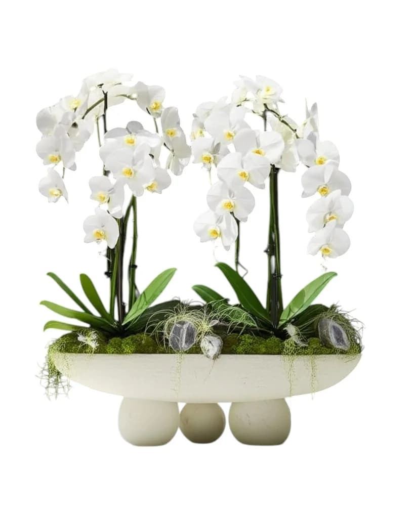 Alba Sculpture Orchid