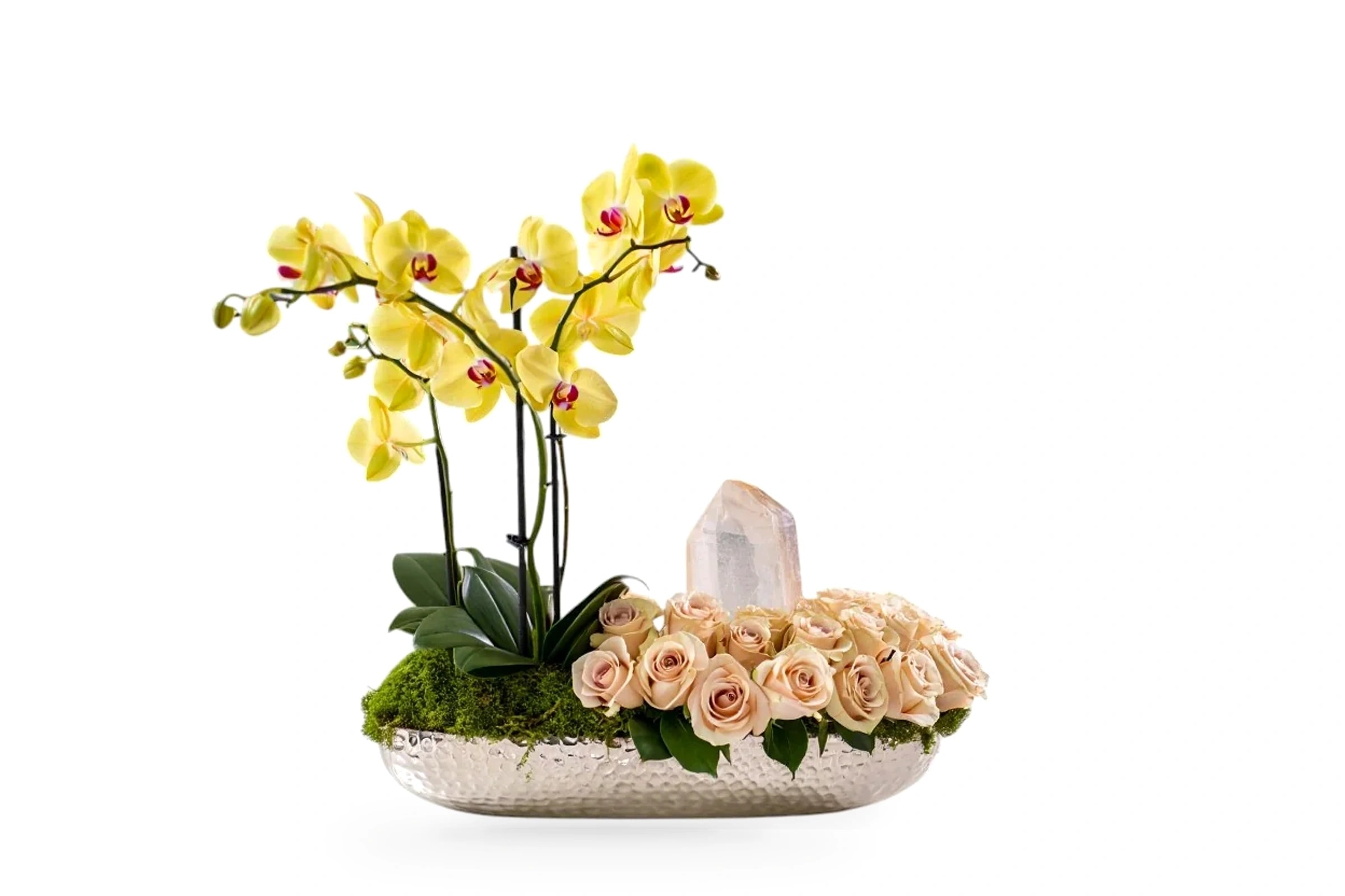 Solar Aurea Orchid & Champagne Roses