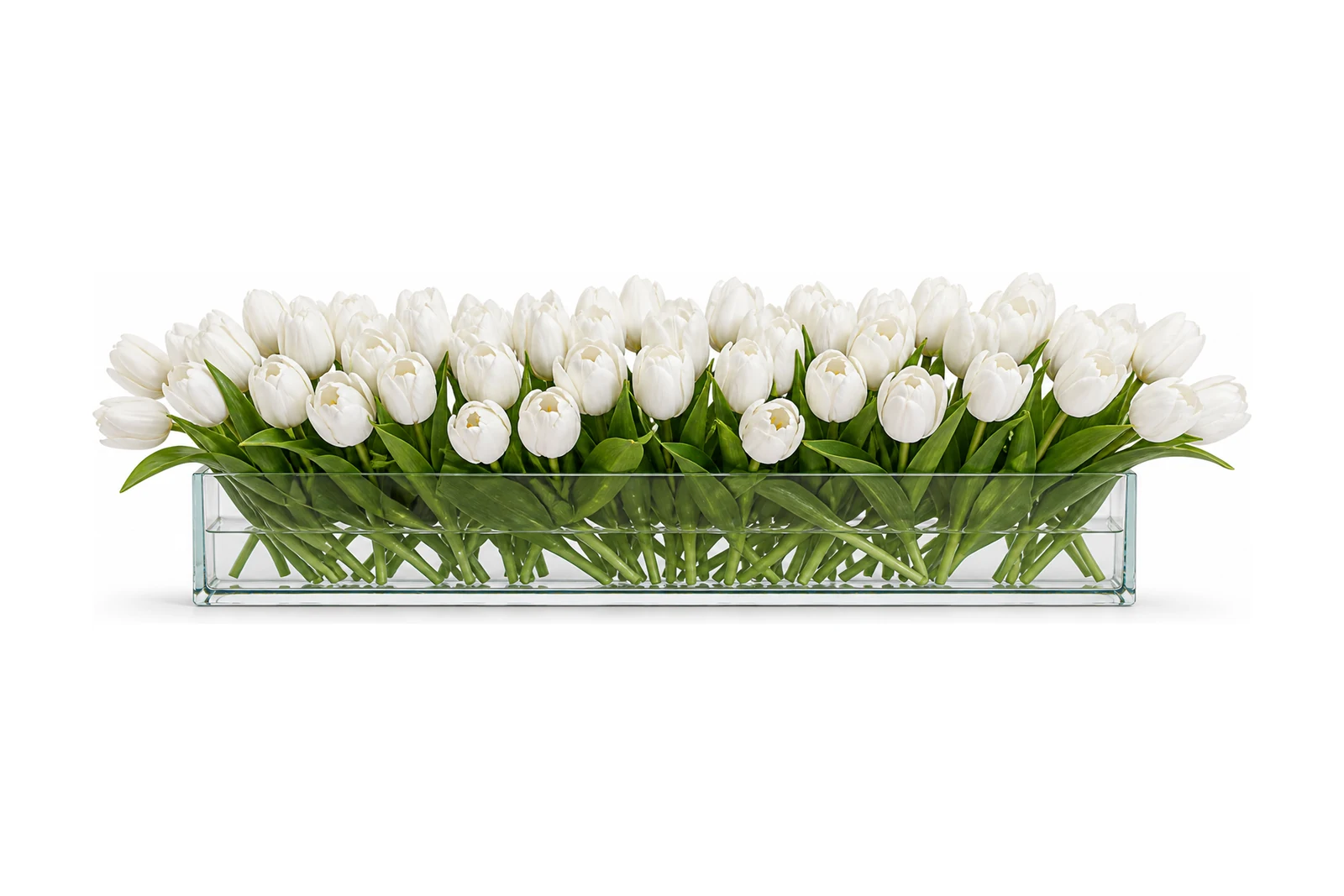 Tulipes de Verre