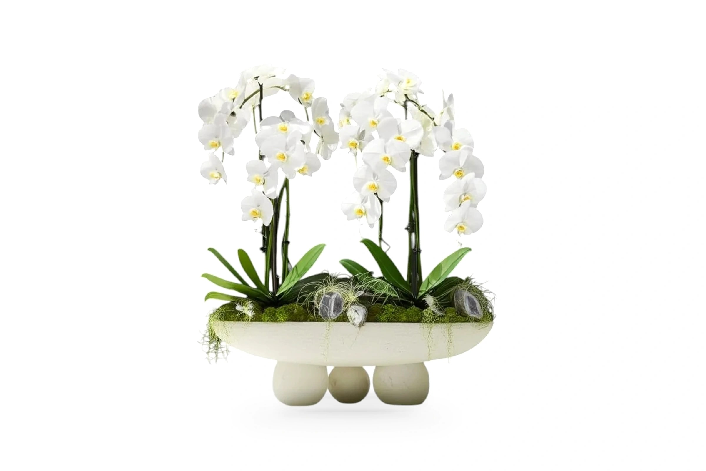 Alba Sculpture Orchid