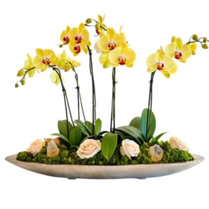 Lumen Linea Orchid – Long Vase