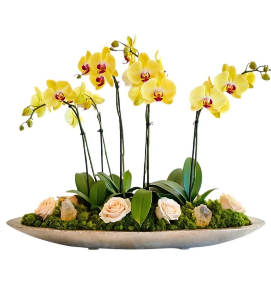 Lumen Linea Orchid – Long Vase