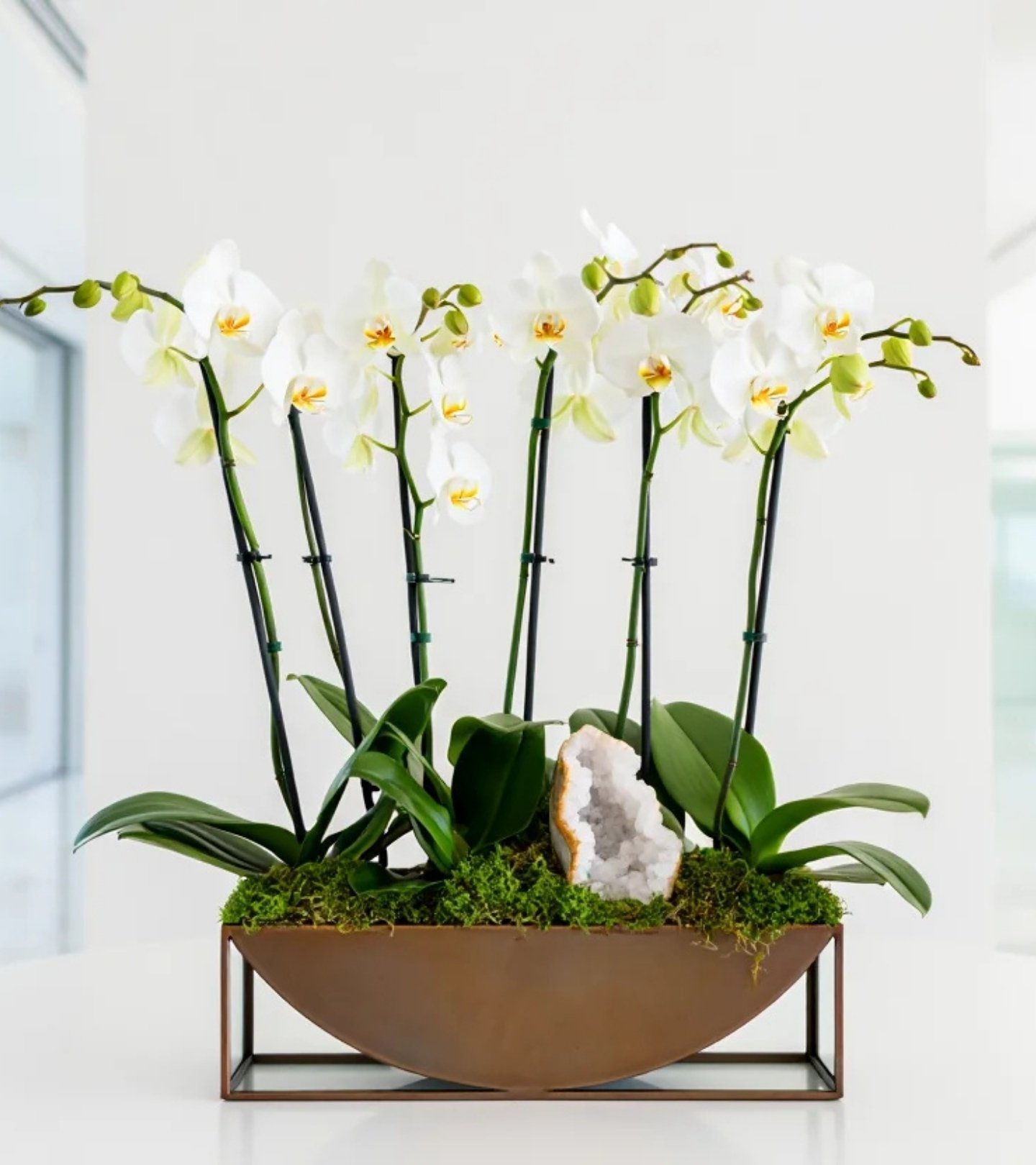 White Column Orchid – Bronze Geode - hover