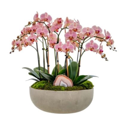 Blush Agate Orchid – Cement Sphere