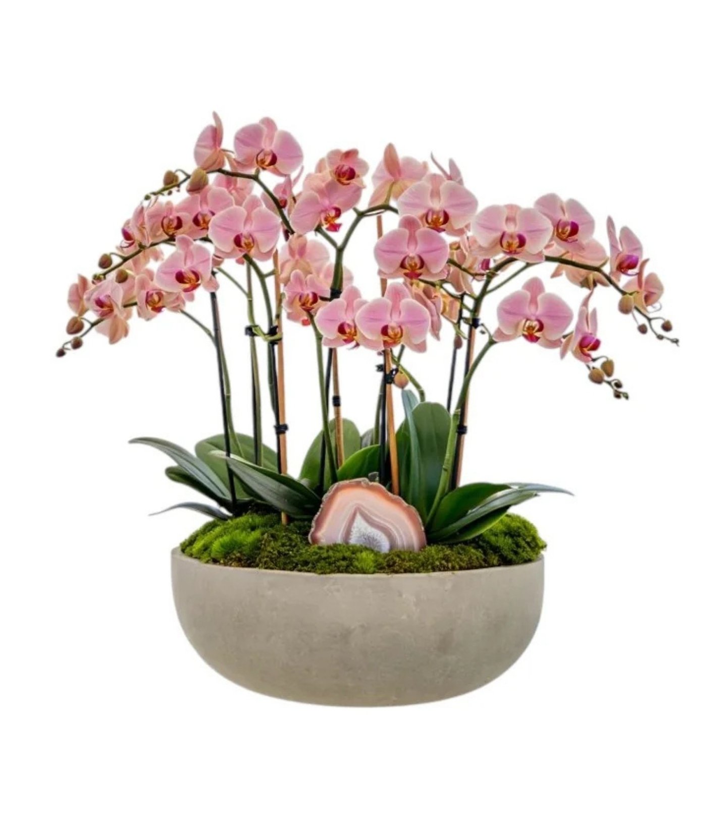 Blush Agate Orchid – Cement Sphere