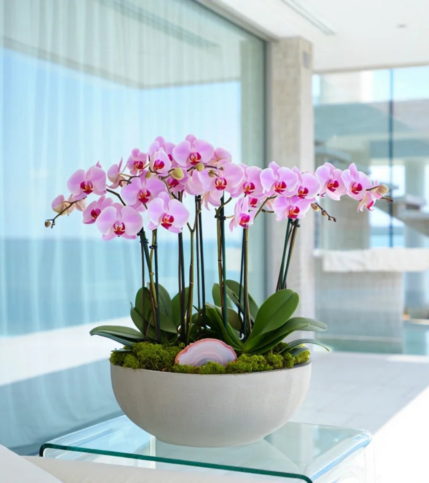 Atelier Pink Orchid – Agate Crest - hover