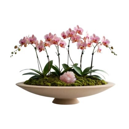 Rosé Aura Orchid – Rose Quartz Bowl - Yellow