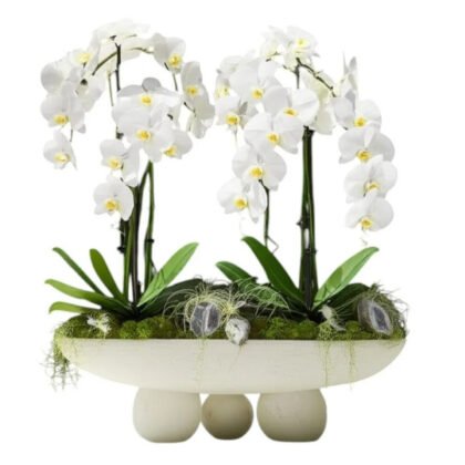 White Cascade Twins – Modern Pedestal