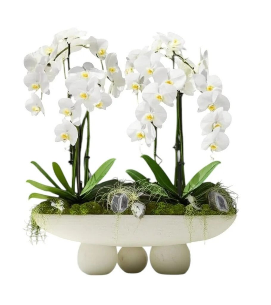White Cascade Twins – Modern Pedestal
