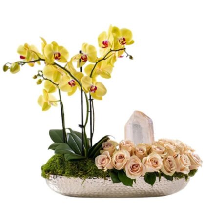 Solar Aurea Orchid & Champagne Roses – Quartz Edition