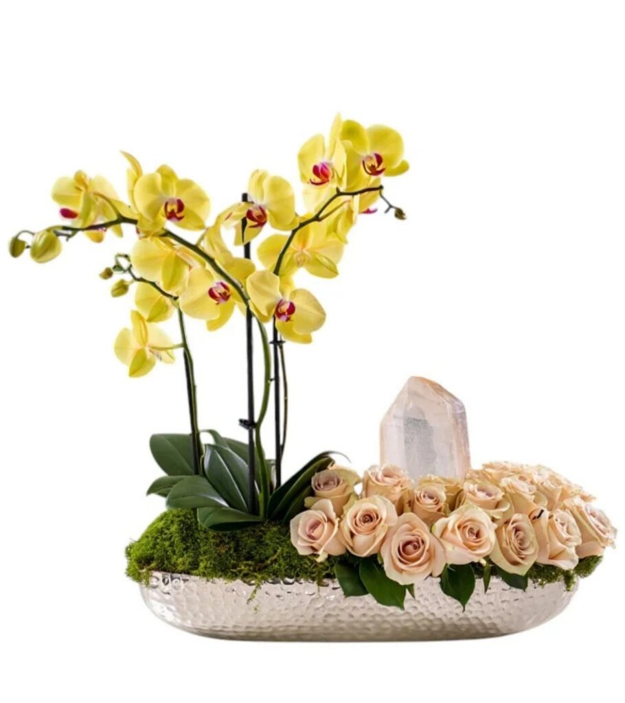 Solar Aurea Orchid & Champagne Roses – Quartz Edition
